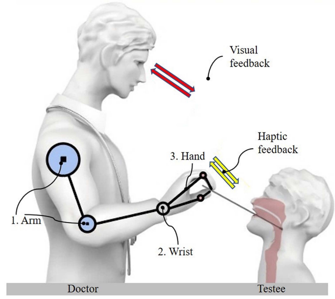 Tele-Operated Oropharyngeal Swab (TOOS) Robot Enabled by TSS Soft Hand for Safe and Effective Sampling