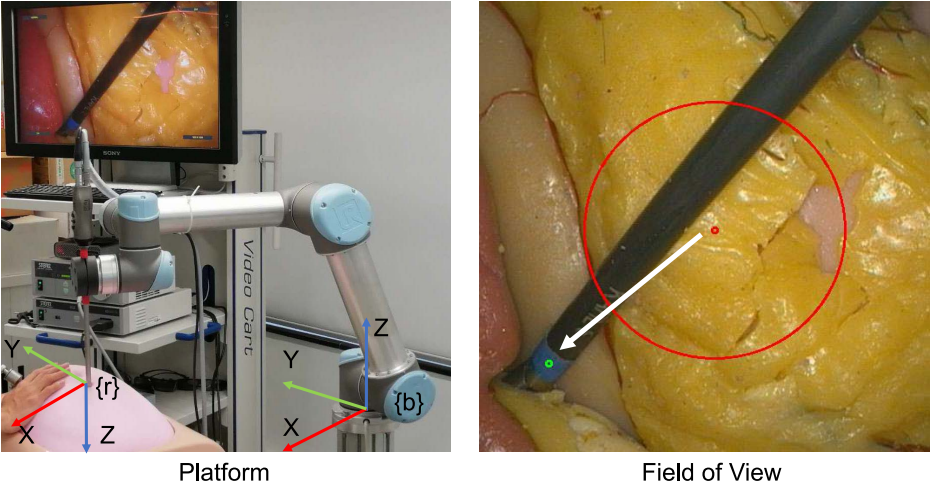 Adaptive FOV Control of Laparoscopes with Programmable Composed Constraints